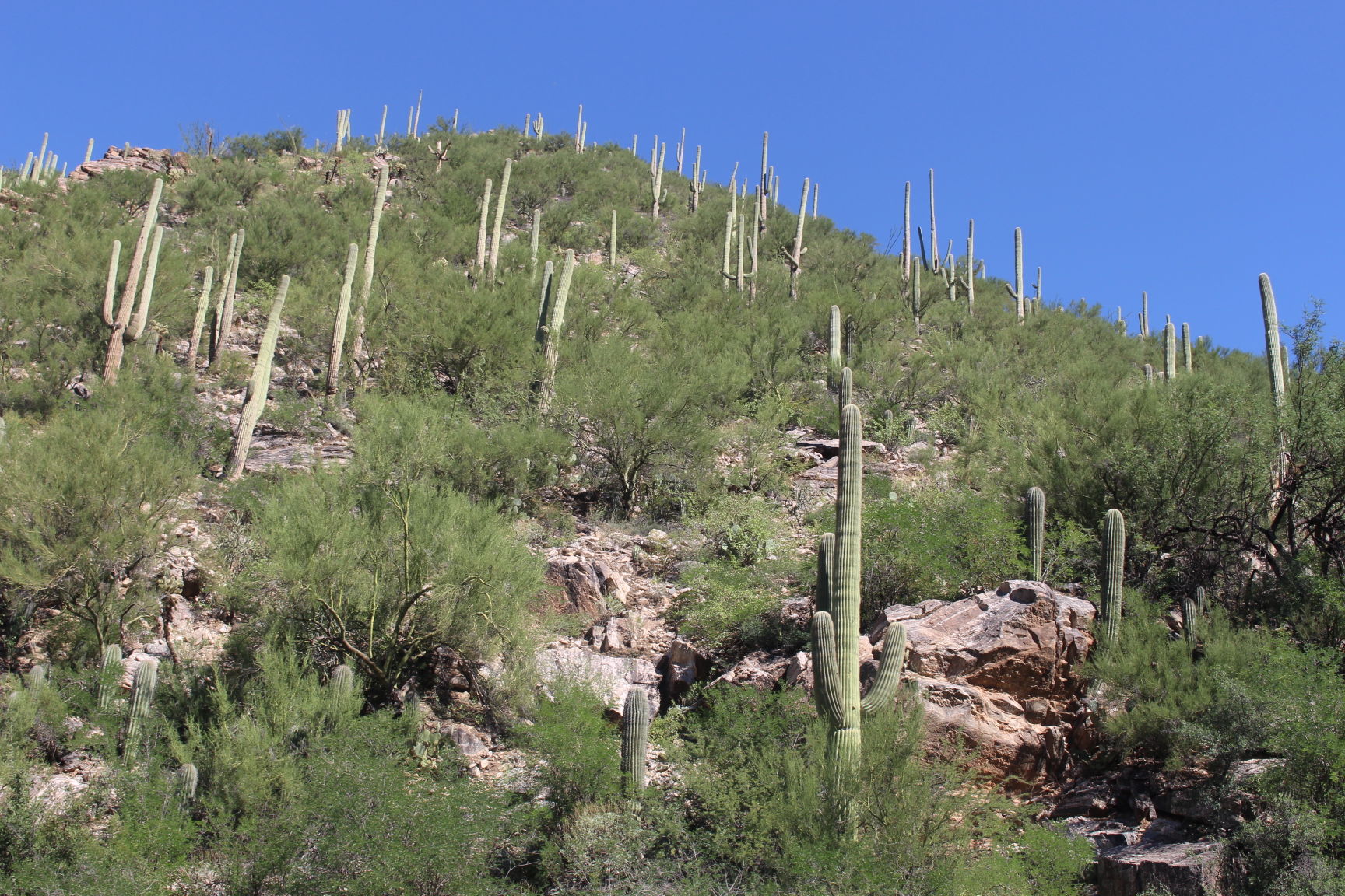 Hike, bike or picnic